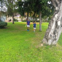 Imagen de WhatsApp 2024-11-12 a las 08.39.50_b245f7eb