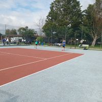 Imagen de WhatsApp 2024-11-12 a las 08.55.09_9ec5a17e