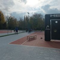 Imagen de WhatsApp 2024-11-12 a las 08.55.13_89ff8cd6