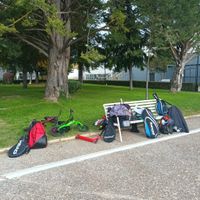 Imagen de WhatsApp 2024-11-12 a las 08.55.13_f7793bf6