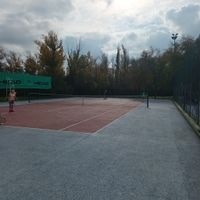 Imagen de WhatsApp 2024-11-12 a las 08.55.14_a14cf9dc